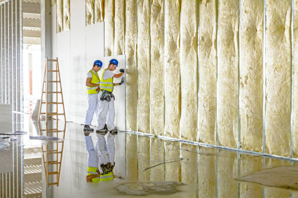 Best Attic Insulation Installation  in Sleepy Hollow, WY